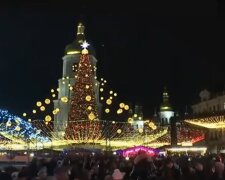 главная елка, киев, новый год
