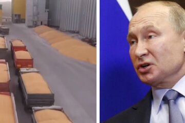 "Це створює небезпечний прецедент": в росії придумали схему, як продавати вкрадене українське зерно