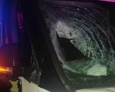 Водитель на элитном авто устроил пьяное ДТП, не стало ребенка: фото фатальной аварии