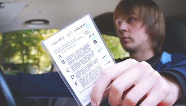 водительские права