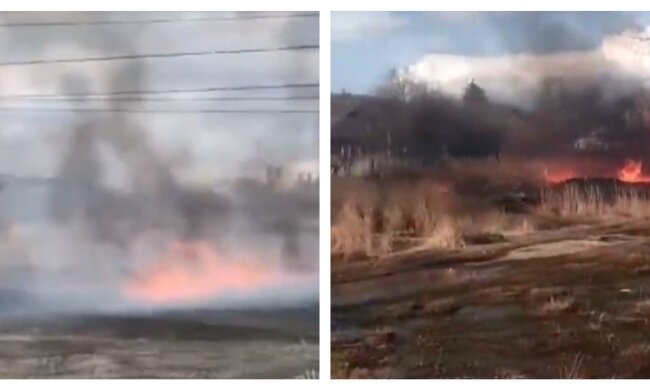 Под Харьковом масштабный пожар подобрался к жилым домам: область окутана черным дымом, кадры