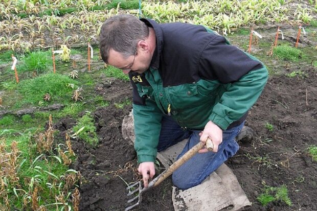 Лунный посевной календарь на апрель 2020