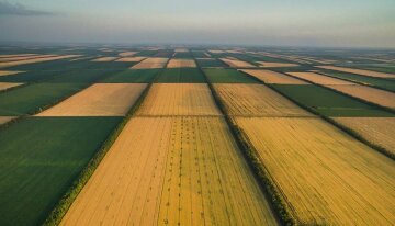Мораторий на продажу земли в Украине