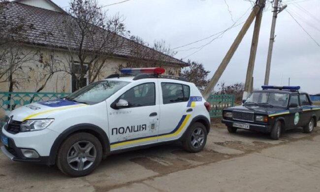 полиция,