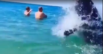 Зграя дельфінів влаштувала шоу перед відпочивальниками, відео: "підпливли до берега і..."