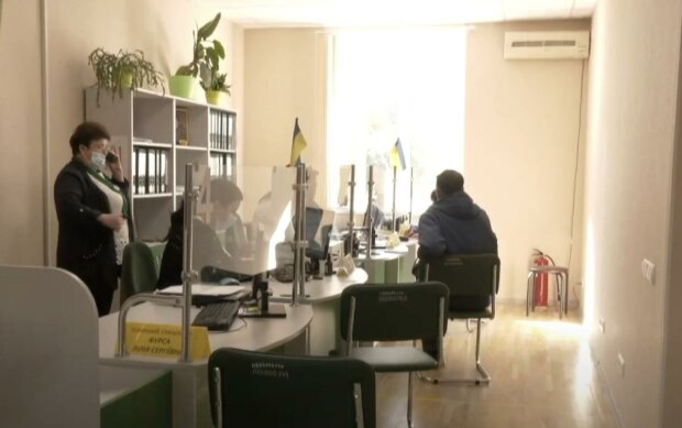 ����: politeka.net