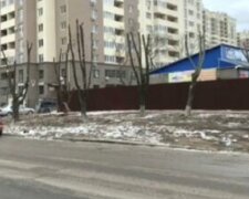 В Одесі варварськи знищили два десятки дерев заради супермаркету: кадри свавілля