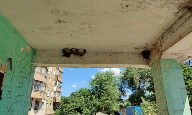 Підлітки влаштували свавілля в Кривому Розі, кадри: "Спалили, а гнізда пташенят..."