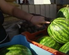 "До 500 гривен за штуку": первые арбузы появились на рынках и в супермаркетах, цены зашкаливают