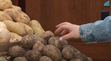 Цены на картофель достигают 100 гривен за кг: украинцев удивила стоимость популярного овоща