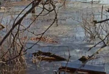 Українське селище йде під воду: вже затоплені двори в приватному секторі, фото