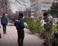 На Одещині напали на копа через ялинки: "Огріли трубою по голові"