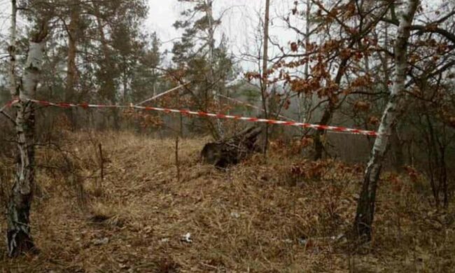 "Осторожно, мины": кадры опасной находки возле автотрассы в Киеве