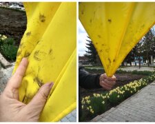 Украинец вытер грязные руки об государственный флаг, фото: светит тюрьма