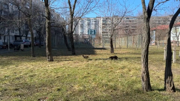 Прогноз погоди на тиждень з 27 квітня до 3 травня