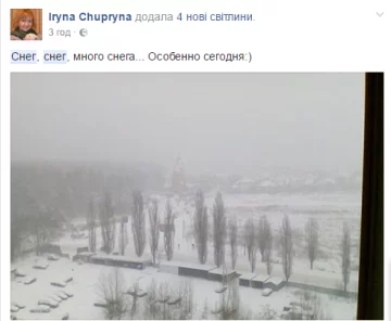 чуприна