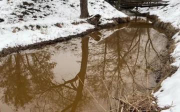 Екокатастрофа назріває у Харкові, активісти б'ють на сполох: "вода стала яскраво коричневою"