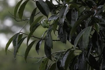 Прогноз погоды в Одессе на 2 апреля.