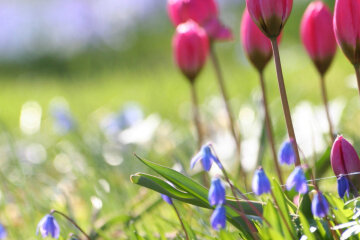 весна погода