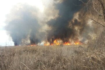 Неконтрольовані пожежі знищують все на своєму шляху: деталі того, що відбувається на Київщині