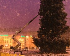 Киев далеко позади: названа самая высокая новогодняя елка Украины