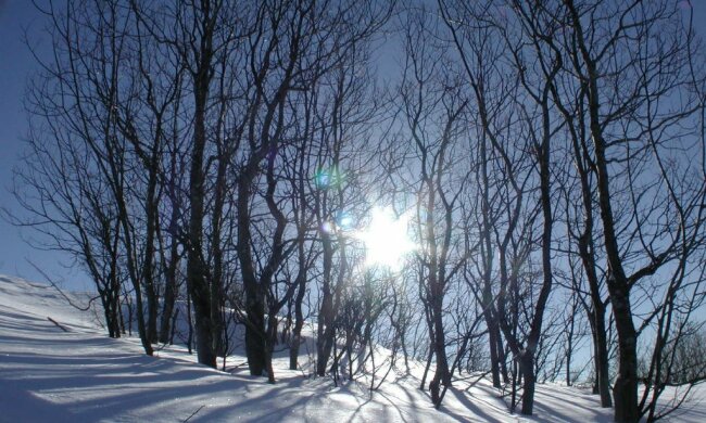 img-20151222085951-422