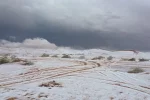 Саудовская Аравия