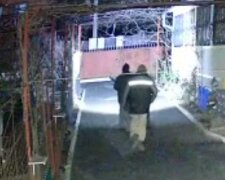 Озброєні люди забралися в чужий двір і розстріляли собак: злочин потрапив на відео