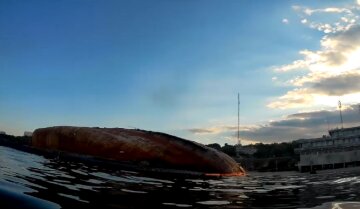 Новое ЧП с танкером "Делфи" у берегов Одессы: экологи показали масштабы, видео