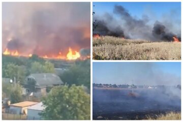 Пожар вспыхнул в Балаклее и подобрался к жилым домам: видео с места ЧП