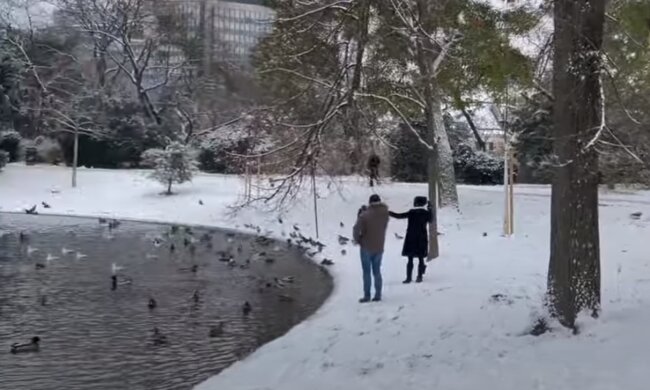 зима, люди, погода