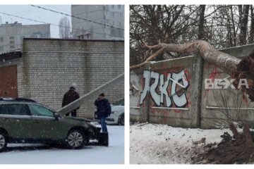 "Вирвало з коренем": шквальний вітер наробив біди на Харківщині, фото руйнувань