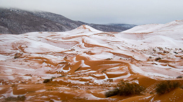 Фото: Karim Bouchetata/Geoff Robinson Photography