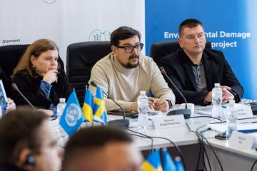 Швеція та ПРООН