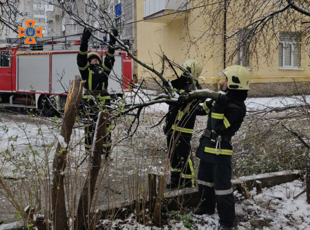 qdWLyoLYtsfRr3ItzD6s3jt0xggguy18NPS0xoka