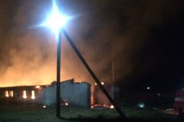 "Збиток приблизно 2 млн грн": у Харківській області орудують нахабні палії, подробиці