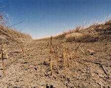 Одещину накрила рекордна посуха: стало відомо про перші втрати