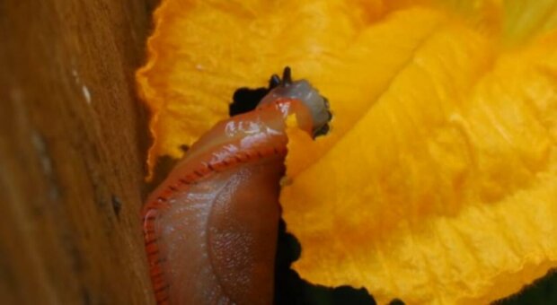 ����: politeka.net