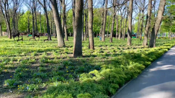 Прогноз погоды с 6 по 15 марта в Запорожье.