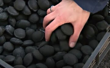Воровство у детей: под Одессой недосчитались 140 тонн угля, виновным оказался завхоз