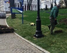 В Одесі на карантині вигулюють ведмедя і кота: курйозне відео