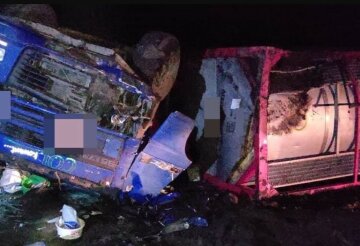 Вантажівка перевозила небезпечну отруту: на Харківщині сталася страшна аварія, кадри НП