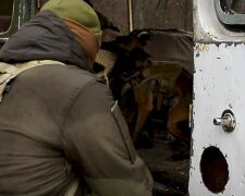 Гвардейцев и спецназовцев привели в боевую готовность под Харьковом: кадры происходящего