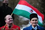 Венгры