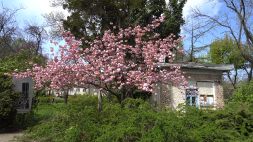 Прогноз погоды на неделю с 17 по 23 апреля в Полтавской области.