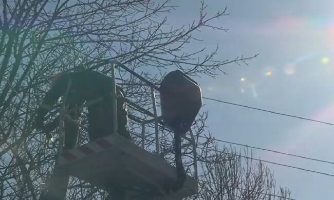 Графики отключения света в Запорожье на 27 марта