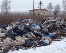 Львівському сміттю знайшли новий “дім”