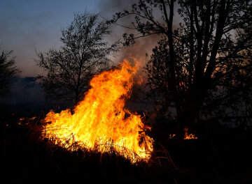 огонь, пламя, пожар, костер, горит лес
