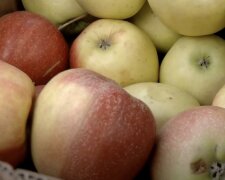 Дефицит продуктов в Сумской области