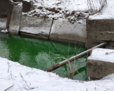"Вместо воды - зеленоватая жижа": в Киеве река изменила цвет и завонялась, фото